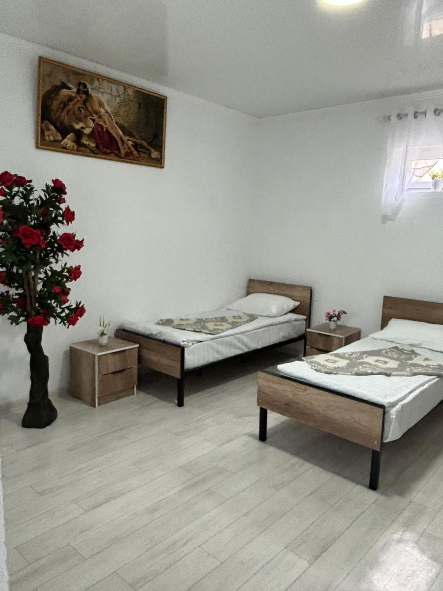 Tokmok Hostel,Halal Хостел,Халал מראה חיצוני תמונה